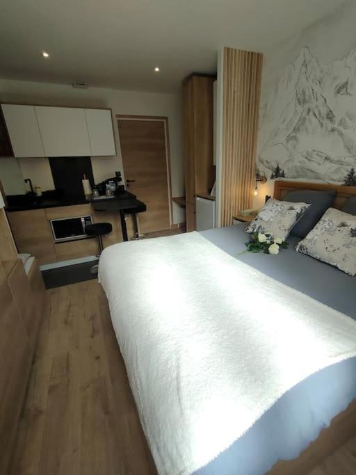 Apartment Sublime Proche Du Avec Parking Prive