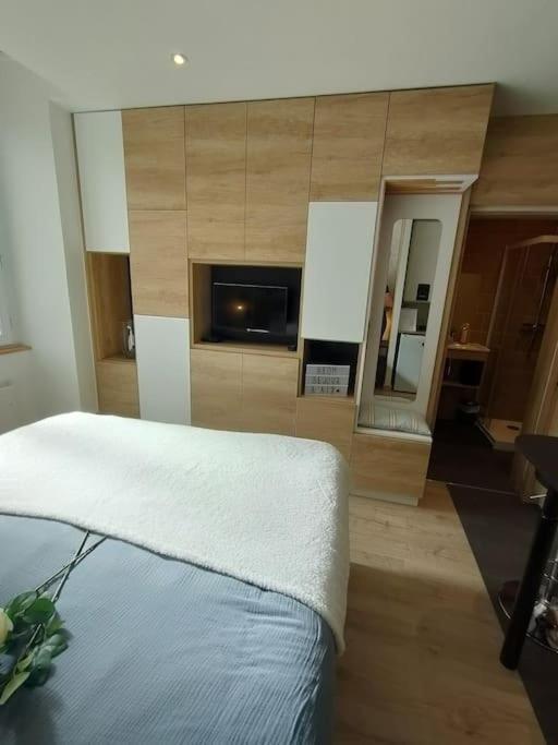 Sublime Proche Du Avec Parking Prive Apartment