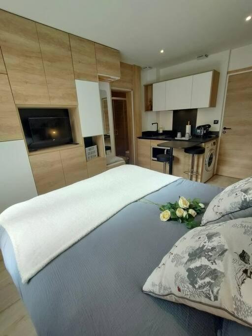Apartment Sublime Proche Du Avec Parking Prive